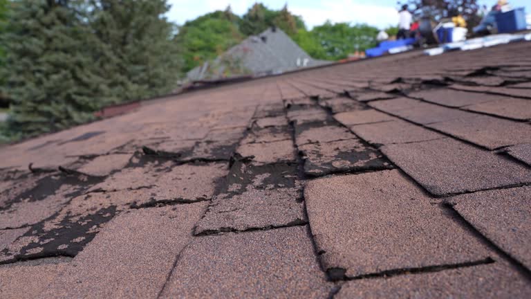 Emergency Roof Repair in Lake In The Hills, IL