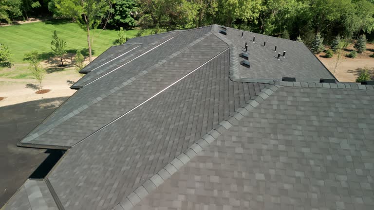 Best Roof Leak Repair  in Lake In The Hls, IL
