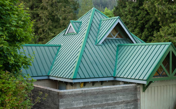 Best Skylight Installation and Repair  in Lake In The Hls, IL