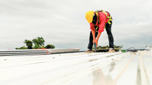Best Emergency Roof Repair Services  in Lake In The Hls, IL