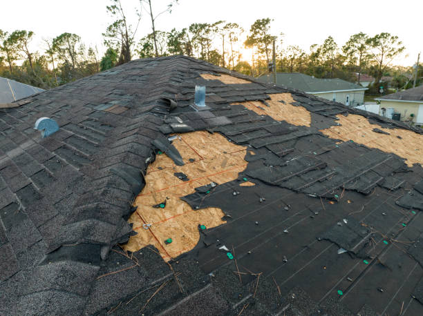  Lake In The Hls, IL Roofing Service Pros