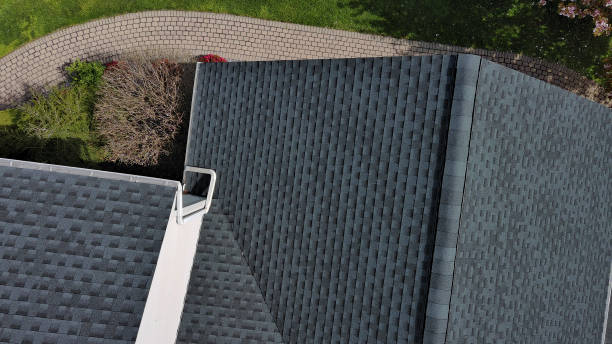 Best Rubber Roofing (EPDM, TPO)  in Lake In The Hls, IL