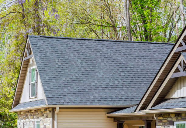 Best Solar Panel Roofing Installation  in Lake In The Hls, IL