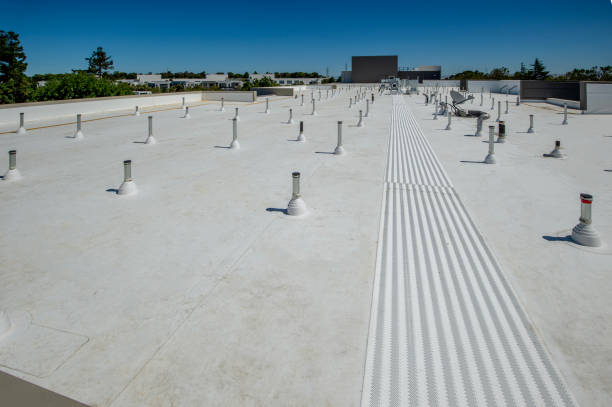 Best Rubber Roofing (EPDM, TPO)  in Lake In The Hls, IL